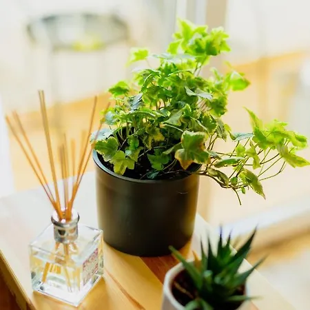 Vibrant Apartmán Temešvár