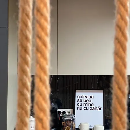 Vibrant * Temešvár