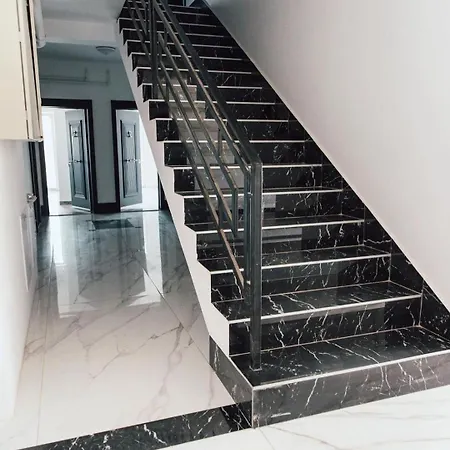 Vibrant * Temešvár