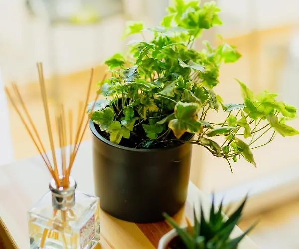 Vibrant Апартаменты Тимишоара