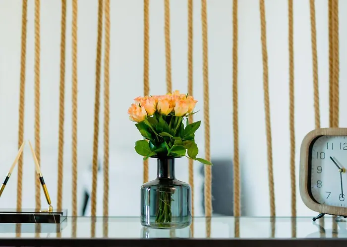 Vibrant * Тимишоара