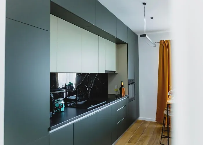 Vibrant Тимишоара