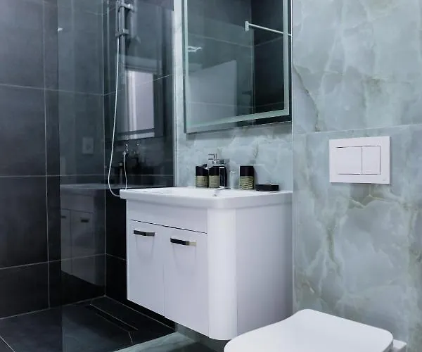 Vibrant Апартаменты Тимишоара