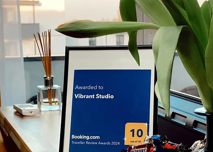 Vibrant Тимишоара