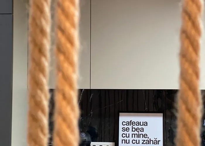 Vibrant * Temešvár