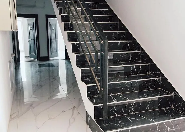 Vibrant * Temešvár