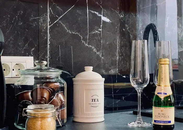 Vibrant Тимишоара