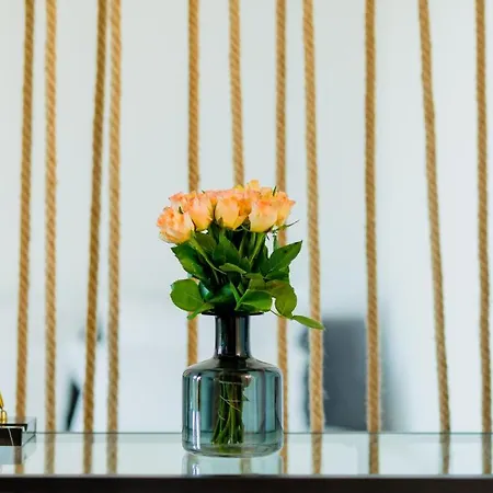 Vibrant * Тимишоара